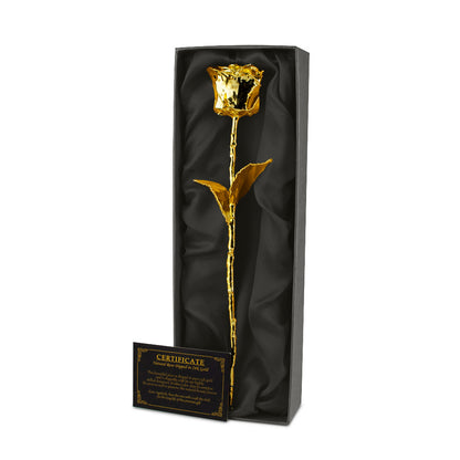 Gouden Roos Met Luxe Cadeauverpakking