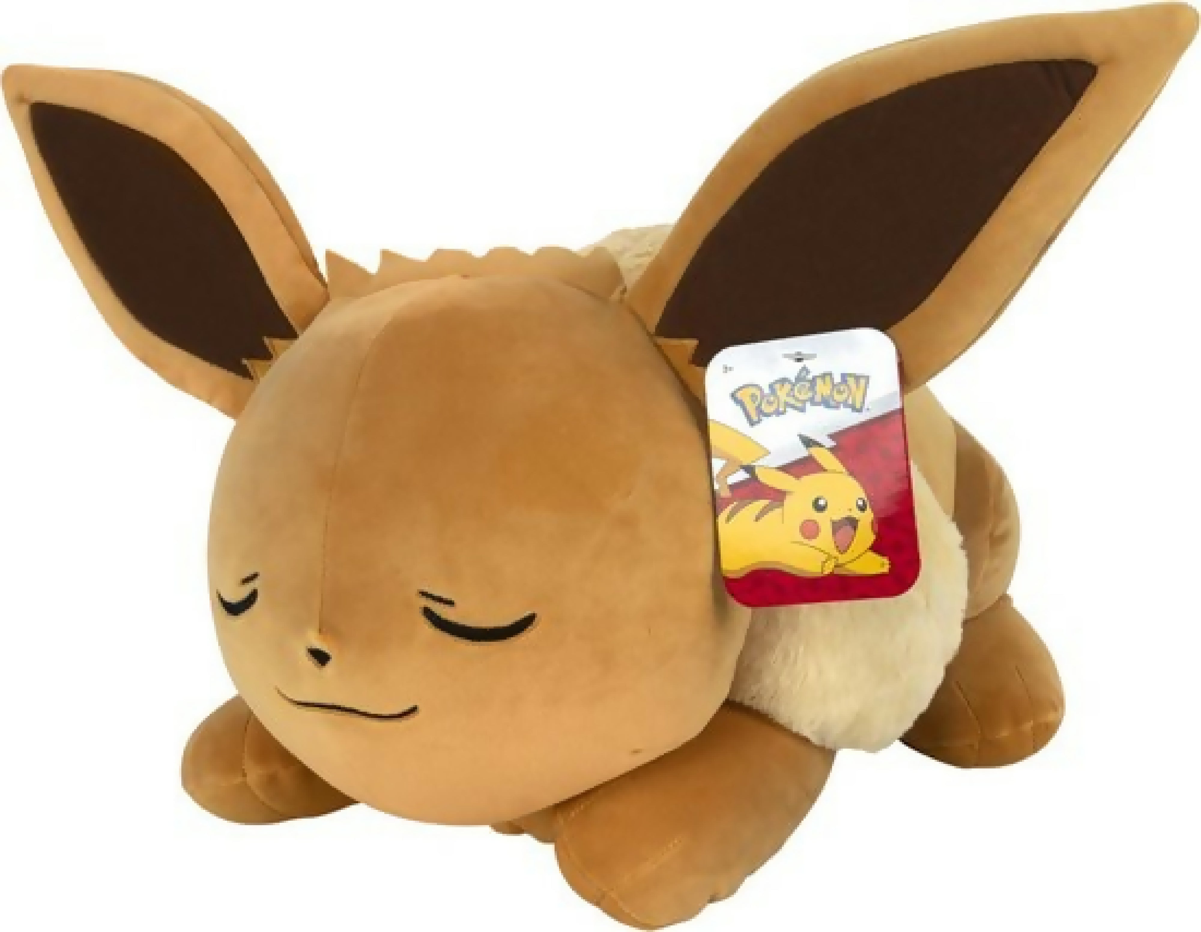 Sleeping Eevee