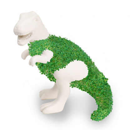 Cadeau Republic Saurus-rex plantenbakcomponent