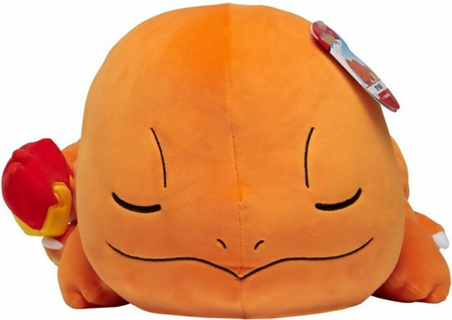 Sleeping Charmander