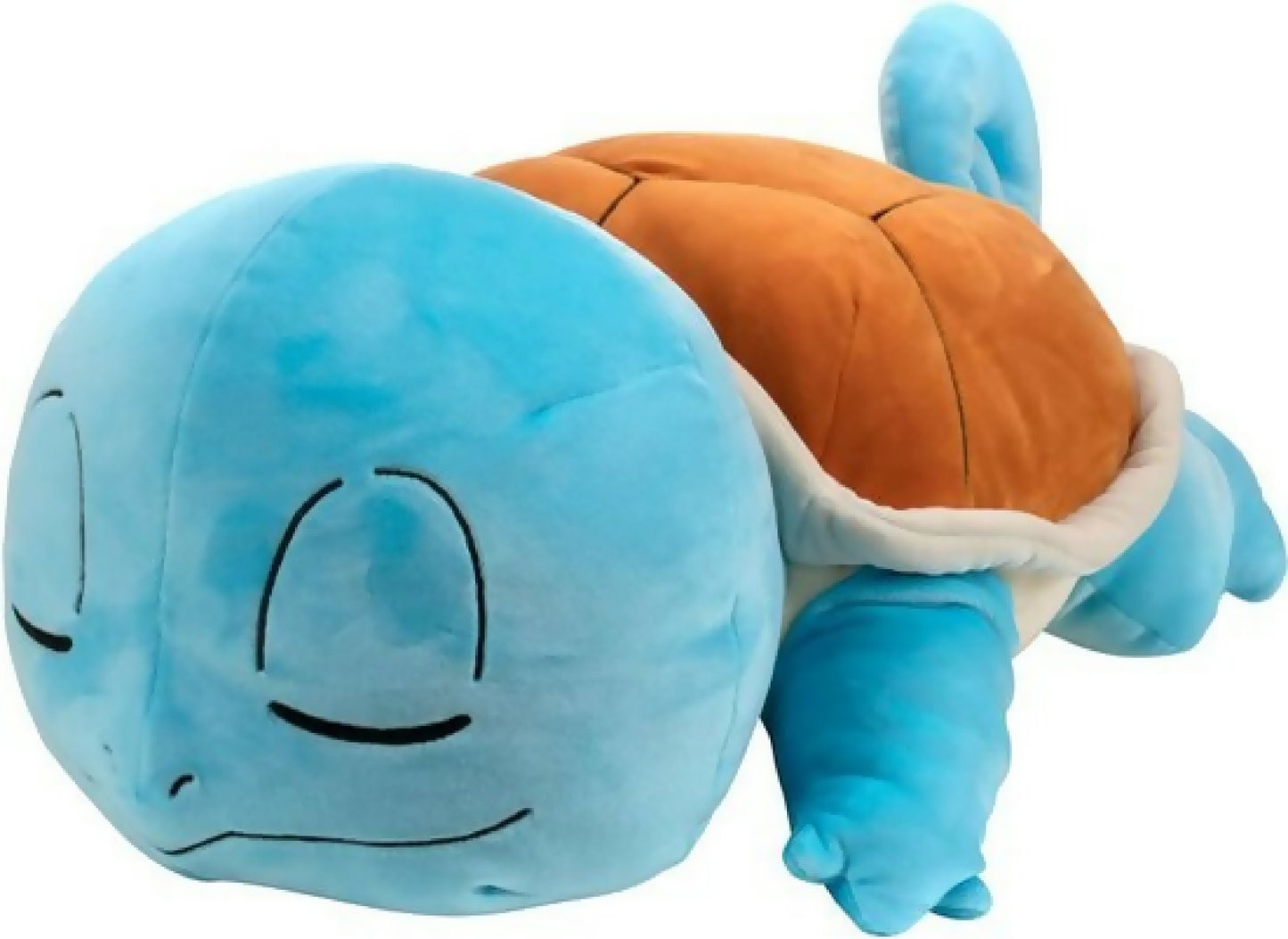 Sleeping Squirtle